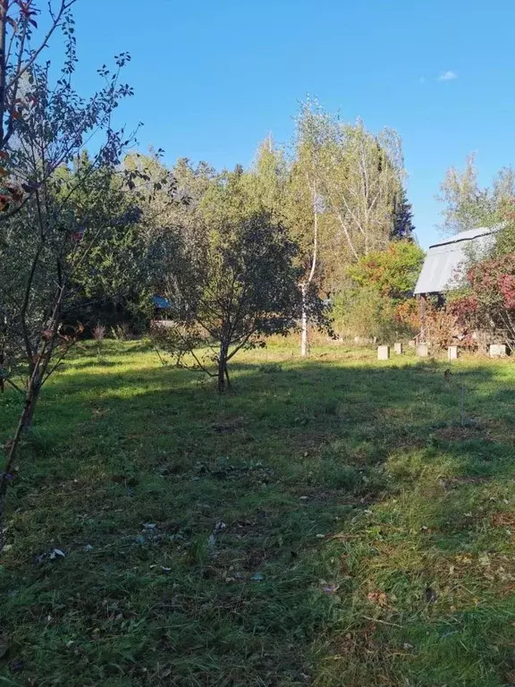 Участок в Московская область, Мытищи городской округ, пос. ... - Фото 2