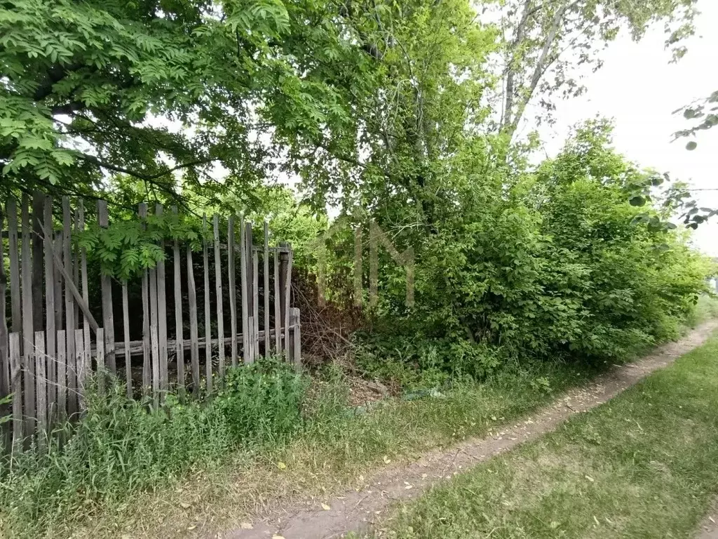 Участок в Омская область, Омск Дары Сибири СНТ, аллея 26-я, 32 (4.43 ... - Фото 1