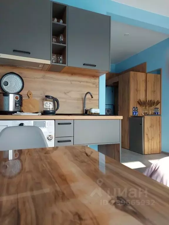 1-к кв. Крым, Черноморский район, Оленевское с/пос, с. Оленевка ул. ... - Фото 2