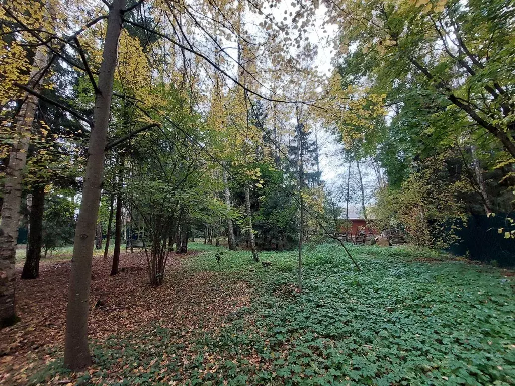 Участок, 26.3 сот., сельхоз (снт или днп) - Фото 2