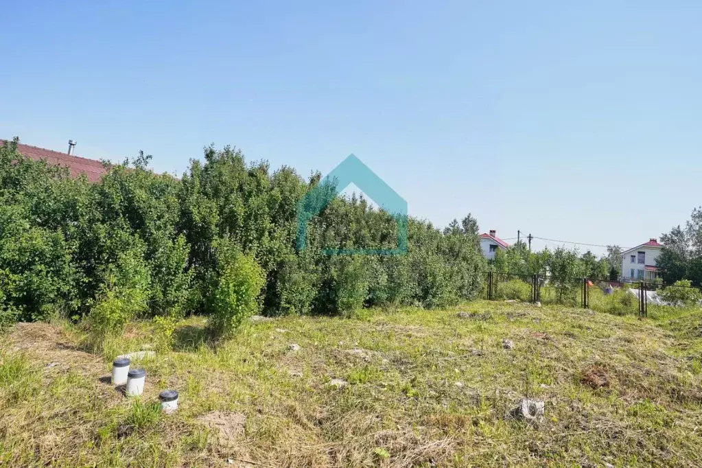 Участок в Санкт-Петербург Сосновая Поляна исторический район,  (10.1 ... - Фото 2