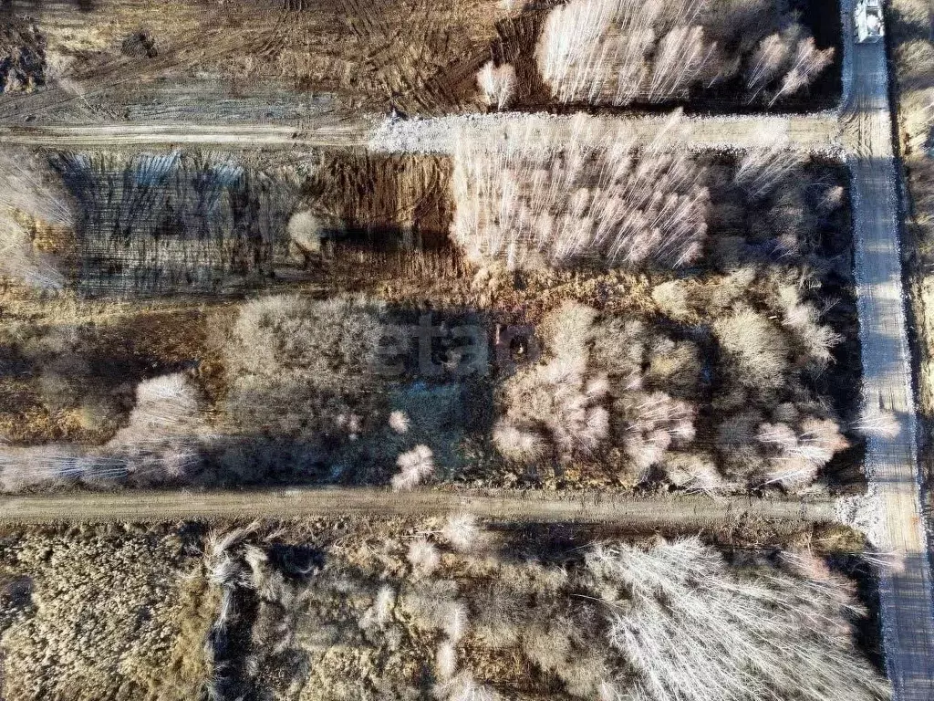 Участок в Тюменская область, Нижнетавдинский муниципальный округ, ... - Фото 1