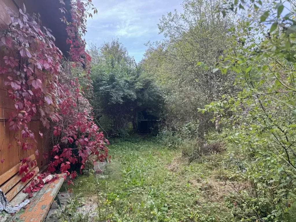 Участок в Москва пос. Совхоза Крекшино, Крекшино-ВВЦ СНТ, ул. Большая ... - Фото 1