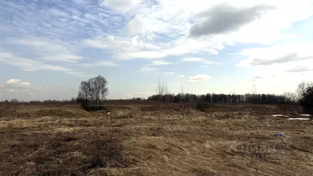 Участок в Московская область, Раменский муниципальный округ, д. ... - Фото 1