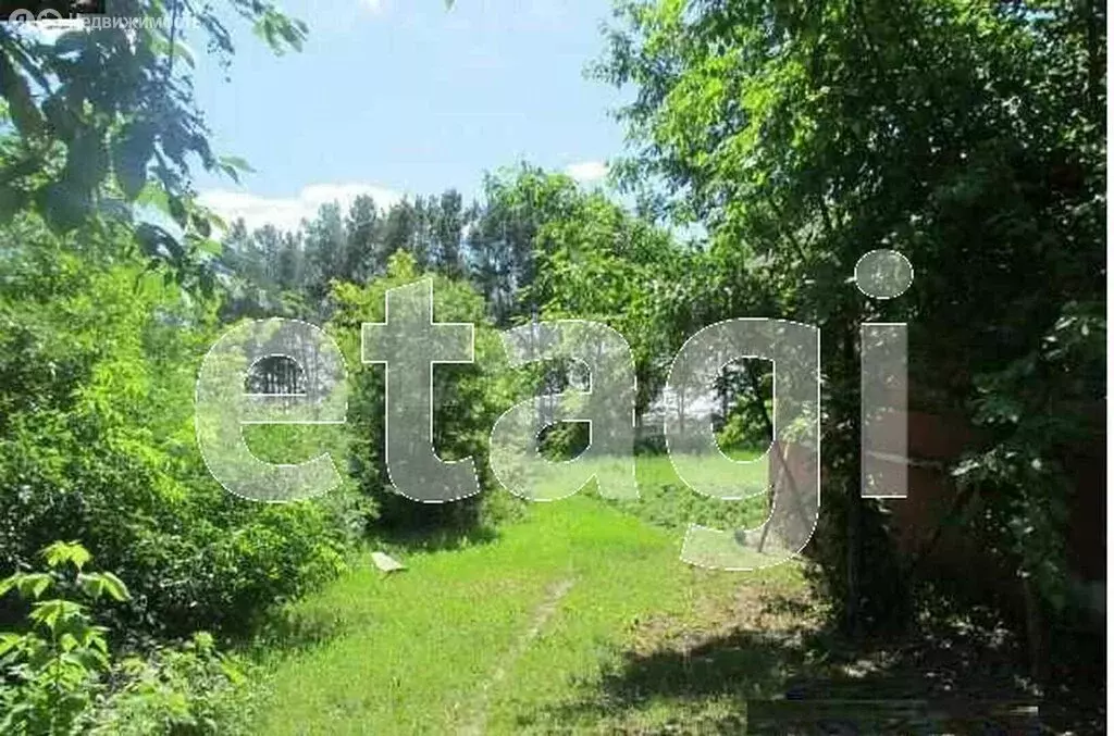 Участок в Тюменский район, село Салаирка (786.9 м) - Фото 1