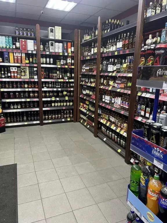 Помещение свободного назначения в Московская область, Голицыно ... - Фото 2