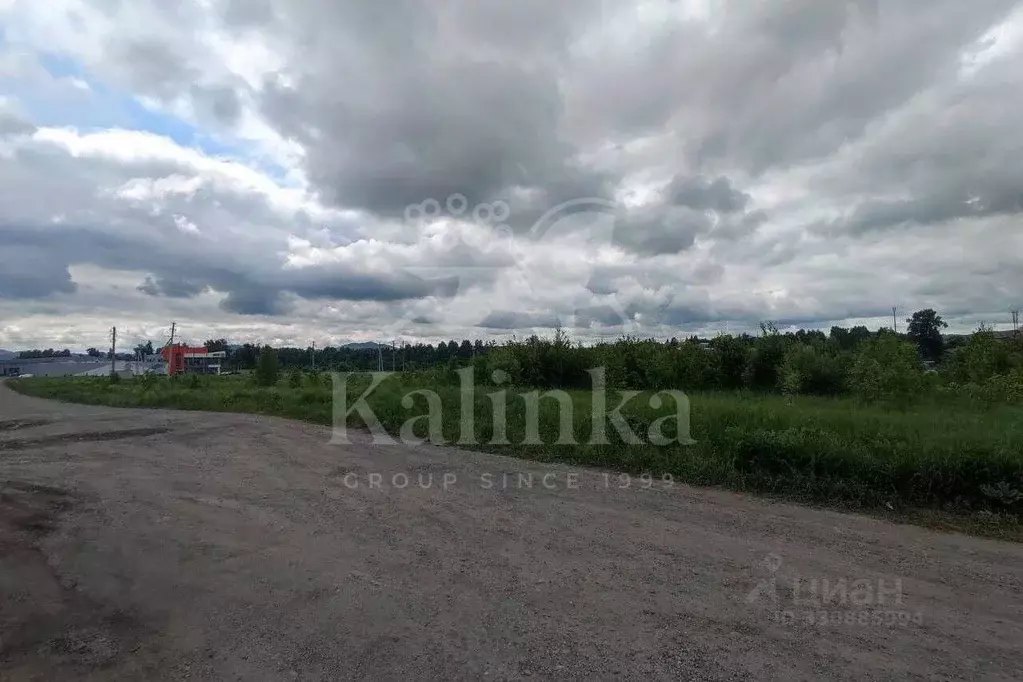 Участок в Алтай, Майминский район, с. Майма  (50.0 сот.) - Фото 2
