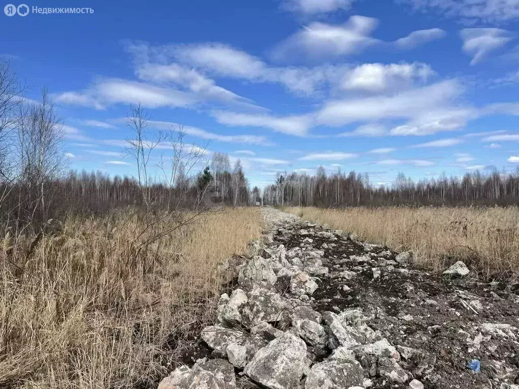 Участок в Тюменская область, Нижнетавдинский муниципальный округ, ... - Фото 1