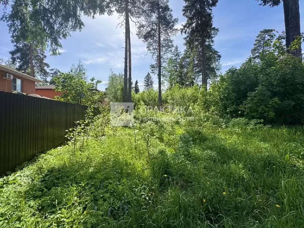 Продается участок в г. Пушкино - Фото 1