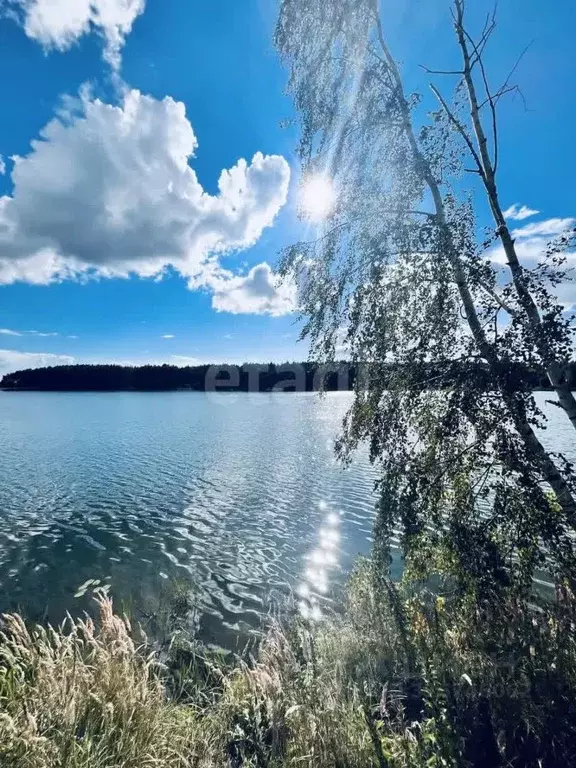 Участок в Ярославская область, Ярославский муниципальный округ, д. ... - Фото 1