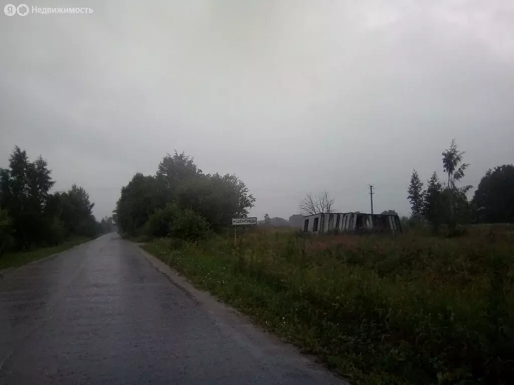 Участок в Ермолинское сельское поселение, деревня Кшентицы (15 м) - Фото 0
