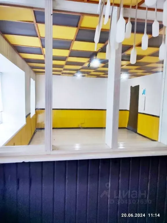 Офис в Чувашия, Чебоксары ул. Чапаева, 14 (44 м) - Фото 1