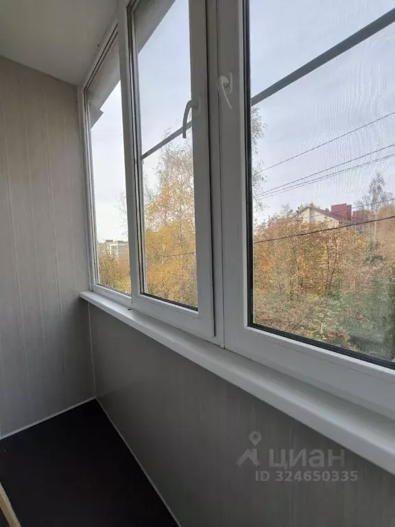 3-к кв. Нижегородская область, Арзамас городской округ, д. Березовка ... - Фото 2