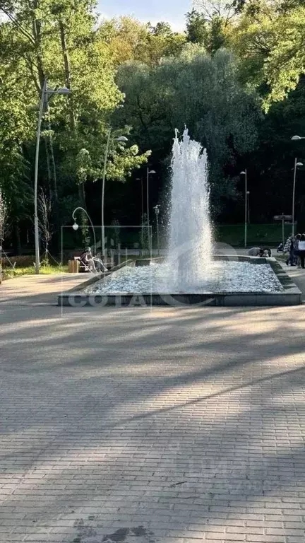 2-к кв. Воронежская область, Воронеж Советская ул., 53 (53.5 м) - Фото 2