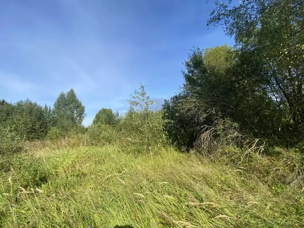 Участок в Московская область, Истра муниципальный округ, д. ... - Фото 2