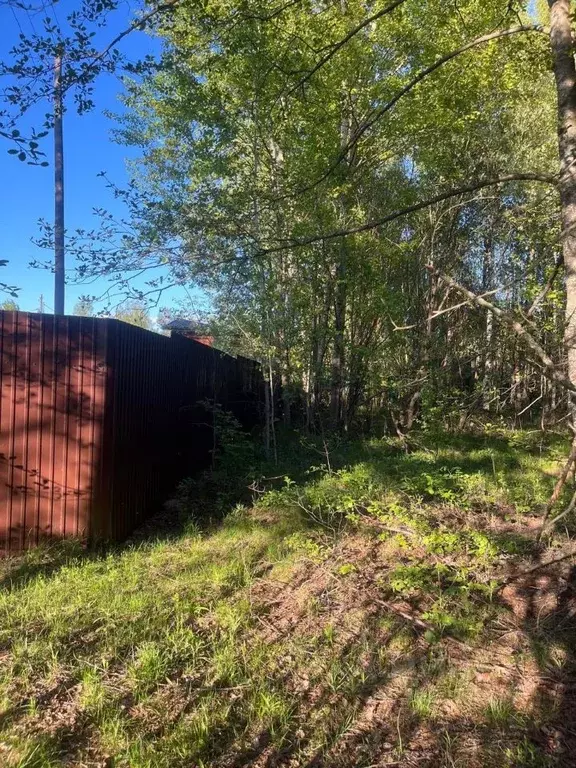 Участок в Нижегородская область, Володарский муниципальный округ, ... - Фото 1