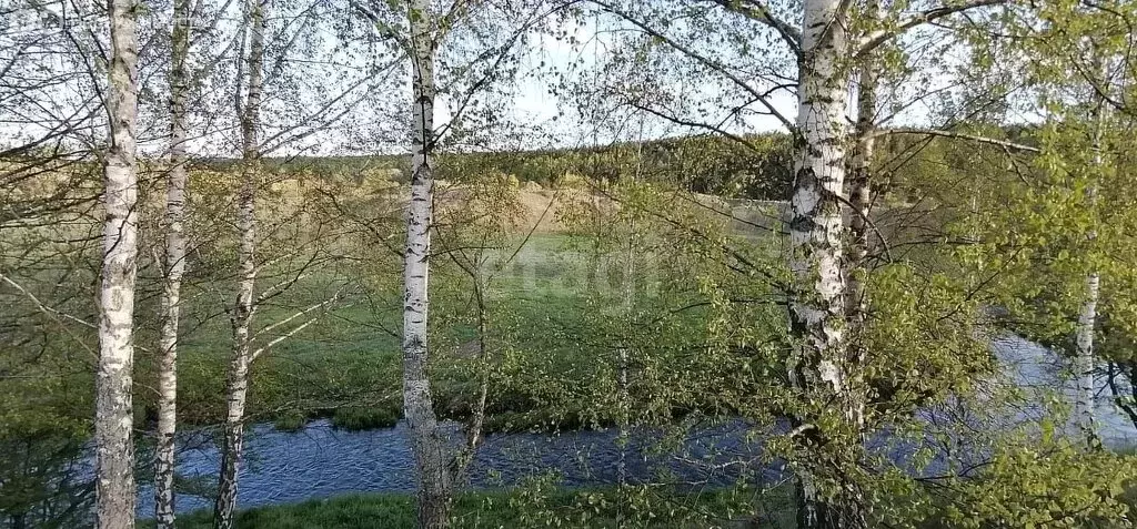 Участок в Калужская область, Бабынинский муниципальный округ, сельское ... - Фото 2