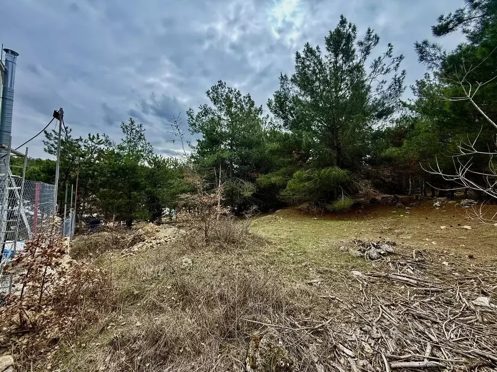 Участок в Севастополь пер. Дачный, 12 (9.0 сот.) - Фото 1