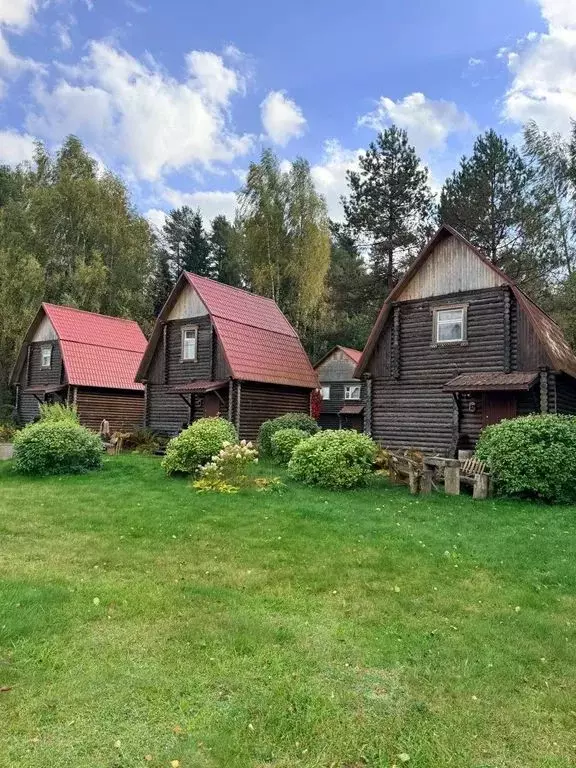 Дом в Тверская область, Торопец  (60 м) - Фото 1