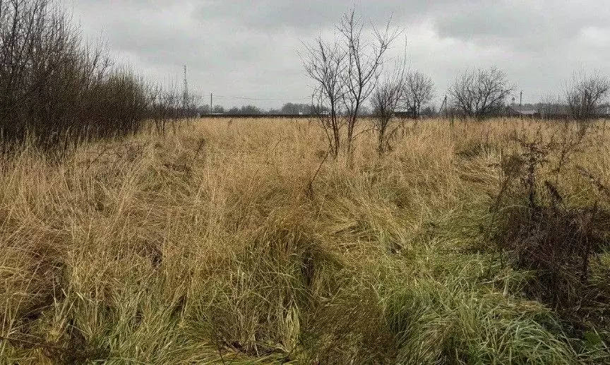Участок в Московская область, Серпухов городской округ, с. Липицы  ... - Фото 0