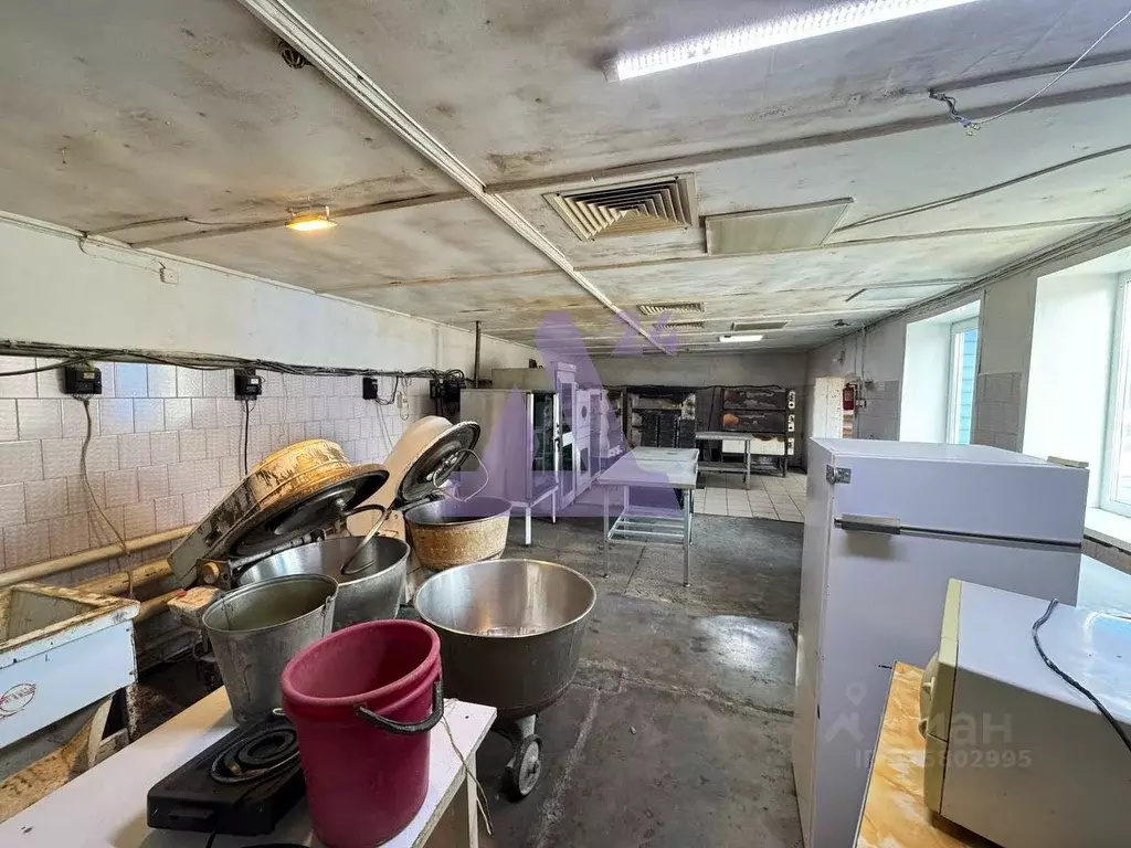 Помещение свободного назначения в Алтайский край, Павловский район, с. ... - Фото 1