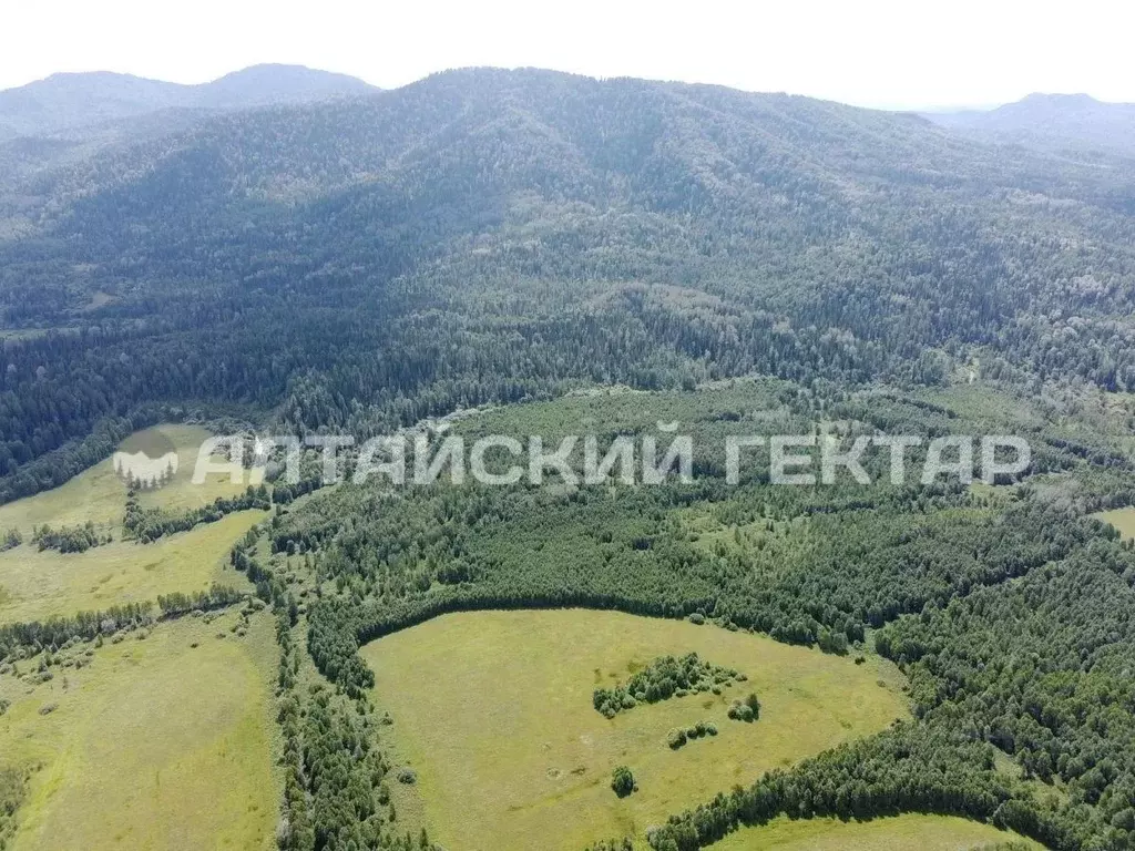 Участок в Алтай, Турочакский район, с. Тулой Строительная ул. (100.0 ... - Фото 0