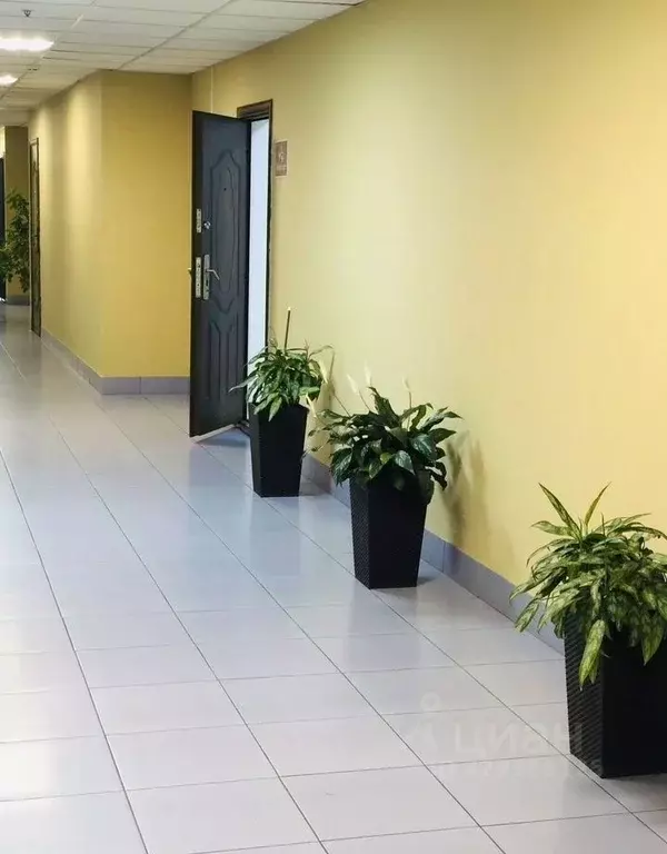 Офис в Москва Ярославское ш., 19С1 (55 м) - Фото 2