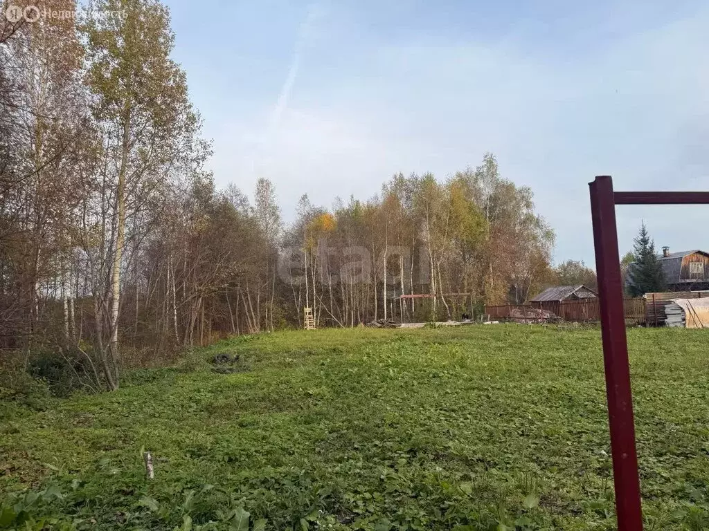 Участок в Медведевский район, Руэмское сельское поселение, СНТ ... - Фото 2