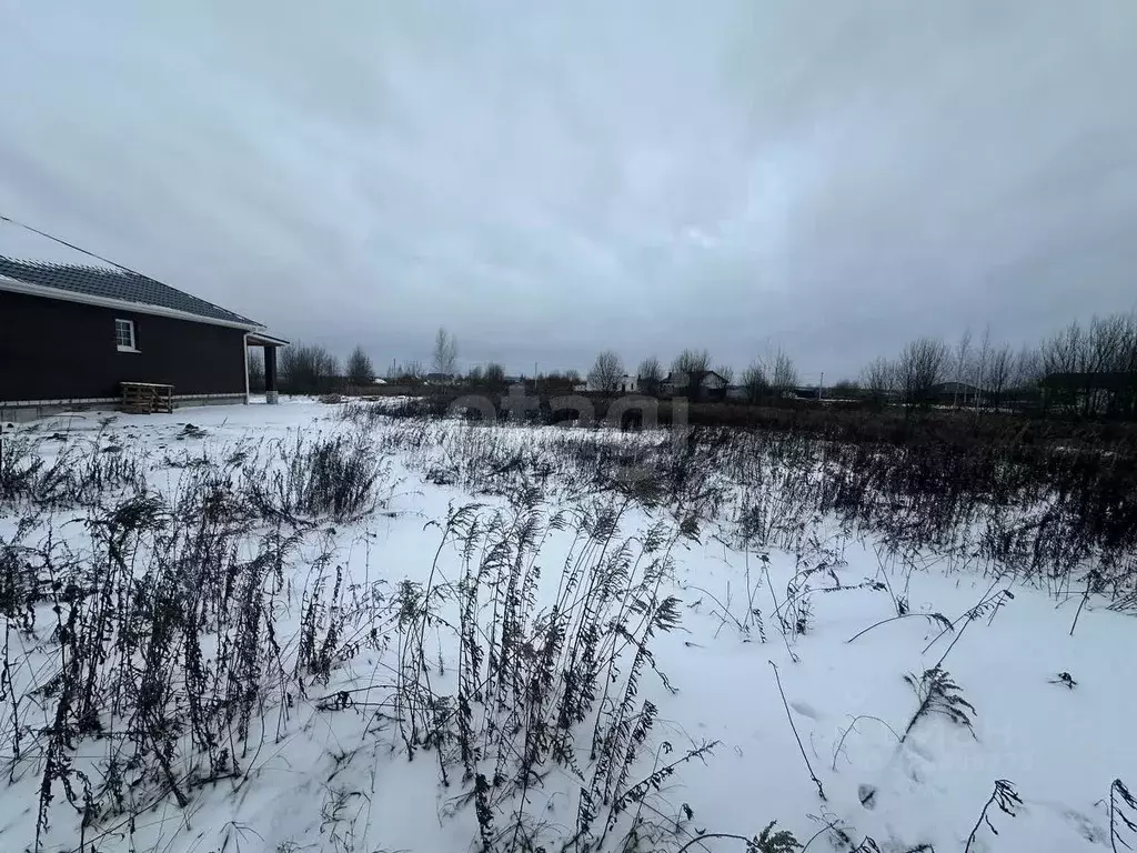 Участок в Брянская область, Брянский район, Отрадненское с/пос, с. ... - Фото 2