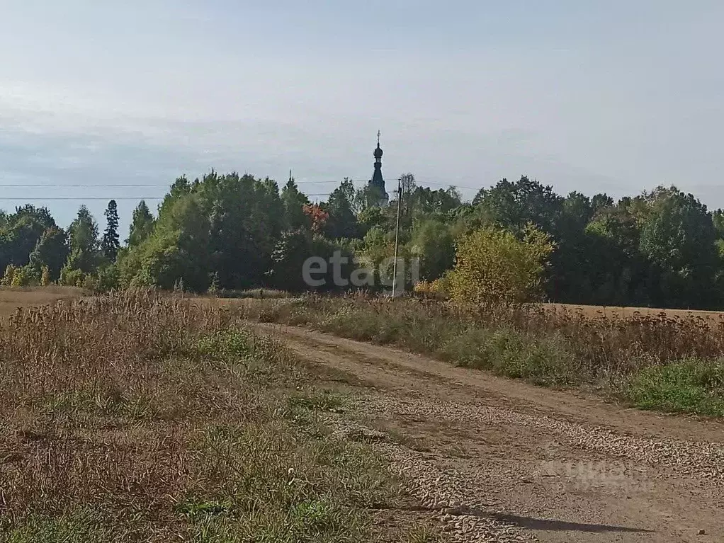 Участок в Марий Эл, Оршанский район, Марковское с/пос, с. Кучка  (15.0 ... - Фото 1