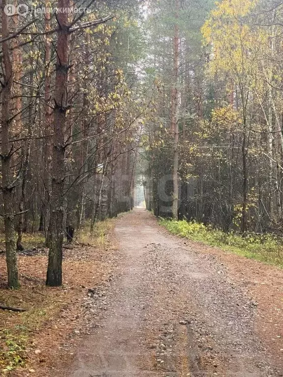 Участок в Владимирская область, Киржачский муниципальный округ, хутор ... - Фото 1