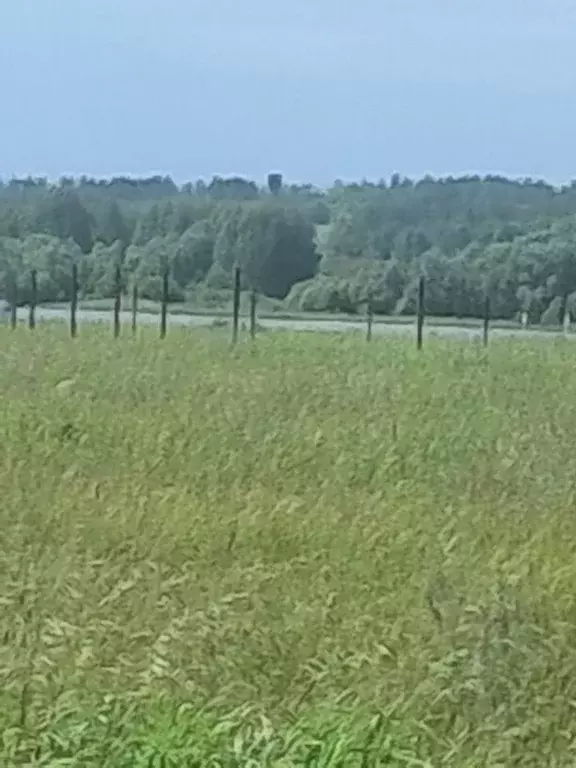 Участок в Татарстан, Лаишевский район, Куюковское с/пос, с. ... - Фото 2