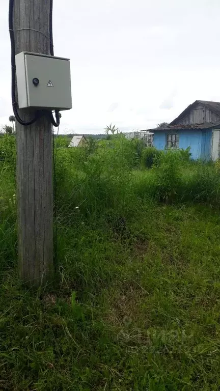 Участок в Тульская область, Алексин городской округ, д. Белолипки  ... - Фото 1