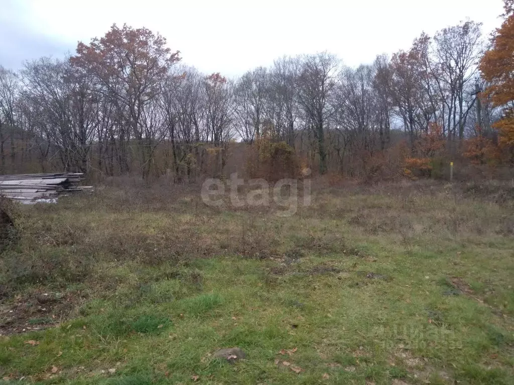 Участок в Краснодарский край, Геленджик городской округ, с. ... - Фото 1