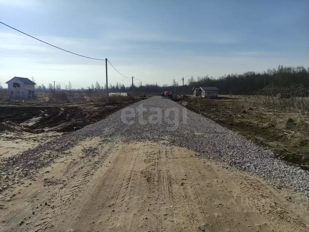 Участок в Псковская область, Псков пос. Учхоз, ул. Трояновского (14.9 ... - Фото 2