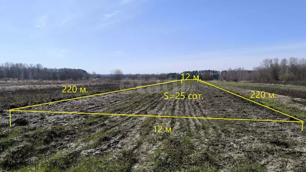 Участок в Брянская область, Брянский район, Добрунское с/пос, с. ... - Фото 1