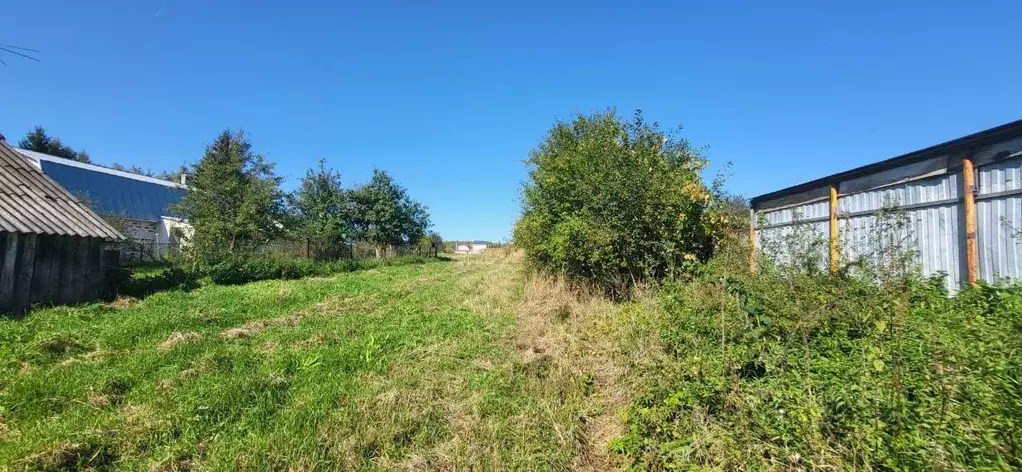 Участок в Нижегородская область, Нижний Новгород д. Майдан,  (16.0 ... - Фото 2