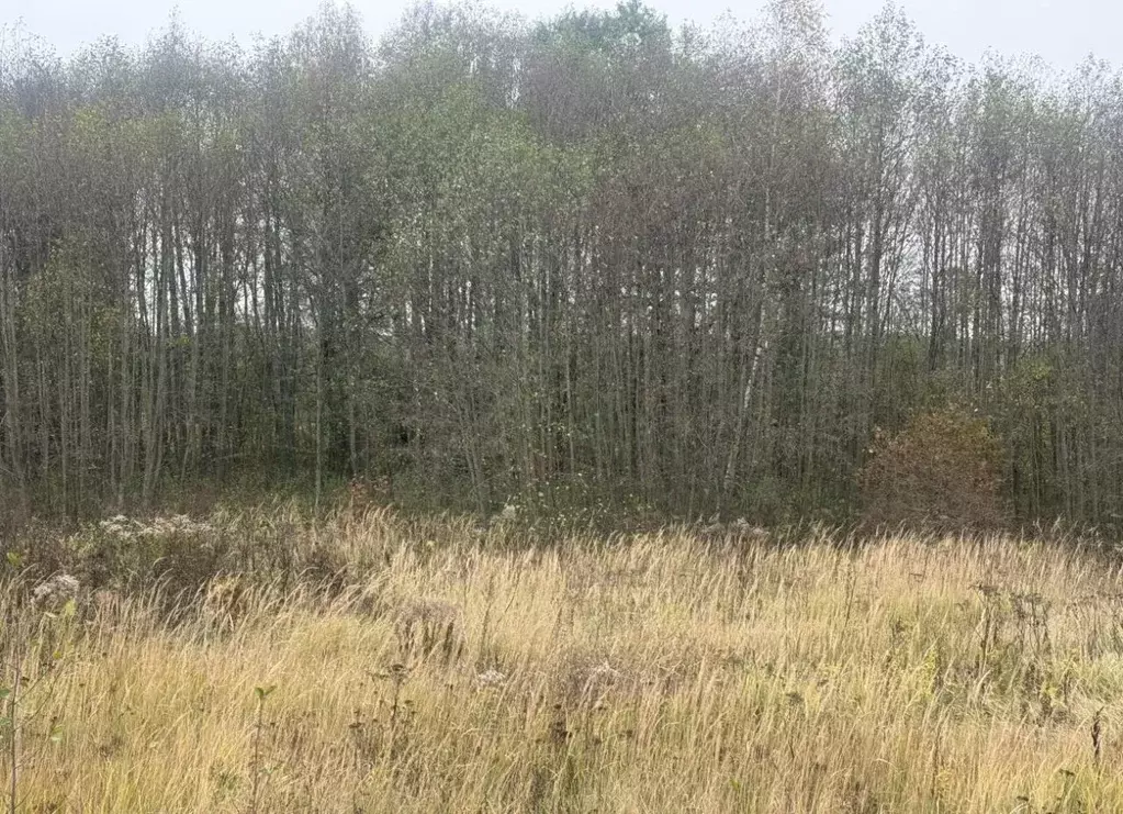 Участок в Московская область, Серпухов городской округ, Воскресенки-1 ... - Фото 0