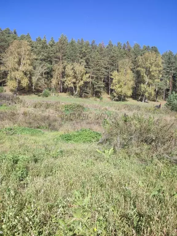 Участок в Алтай, Чемальский район, Узнезинское с/пос, с. Узнезя  (10.0 ... - Фото 2