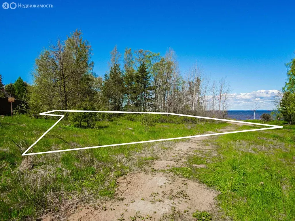 Участок в Ломоносовский район, Лебяженское городское поселение, ... - Фото 1