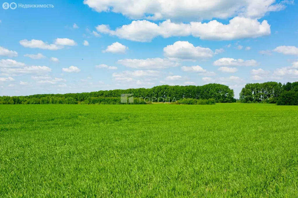 Участок в Криводановка, Криводановские дачи, Весенняя улица, 25 (500 ... - Фото 1