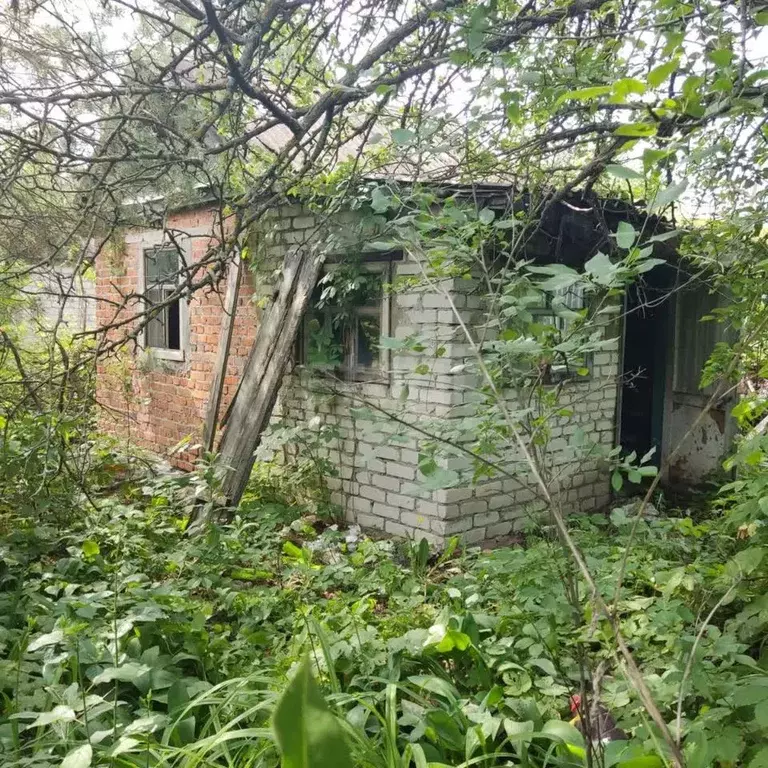 Участок в Саратовская область, Саратов Волжанка СНТ,  (6.46 сот.) - Фото 1