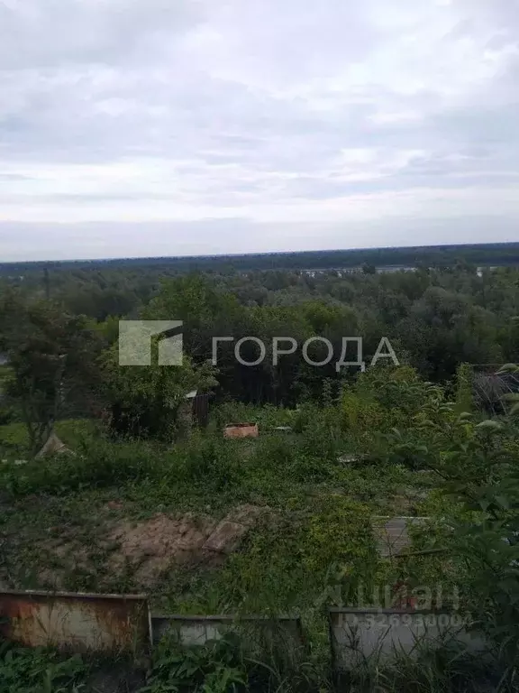 Дом в Алтайский край, Барнаул Купинская ул., 13 (28 м) - Фото 1