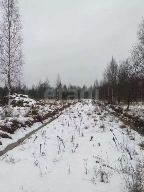 Участок в Ленинградская область, Всеволожск Всеволожский просп. (200.0 ... - Фото 0