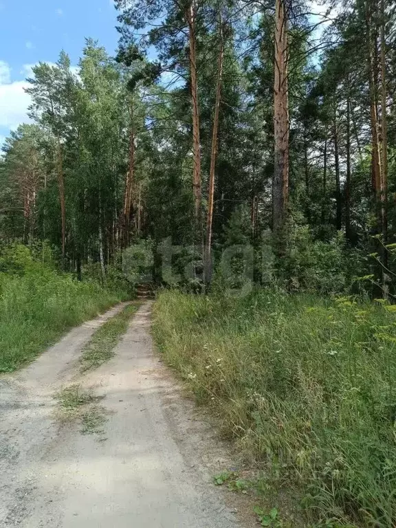 Участок в Тюменская область, Нижнетавдинский муниципальный округ, д. ... - Фото 1