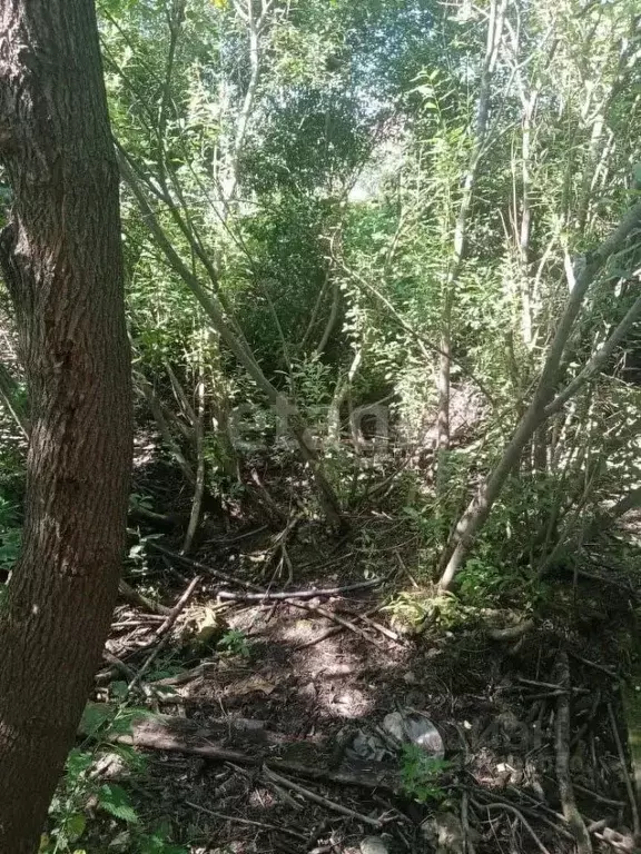 Участок в Калужская область, Малоярославец Первомайская ул. (9.3 сот.) - Фото 2