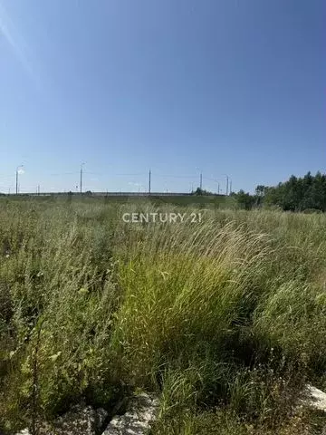 Участок 60 сот. (промназначения) - Фото 0