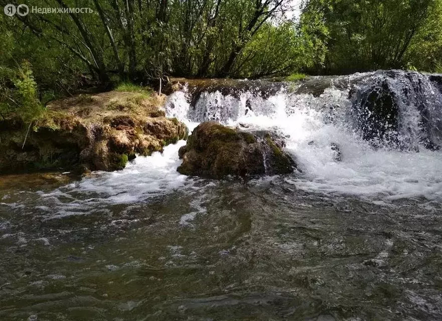 Участок в Оржицкое сельское поселение, садовое товарищество Флора (6 ... - Фото 1