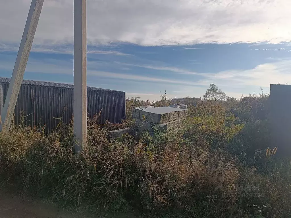 Участок в Новгородская область, Новгородский район, Ермолинское с/пос, ... - Фото 1