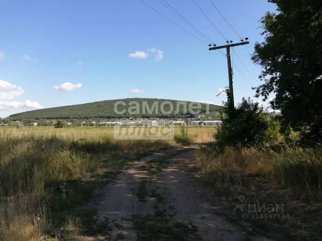 Участок в Краснодарский край, Новороссийск городской округ, ... - Фото 0